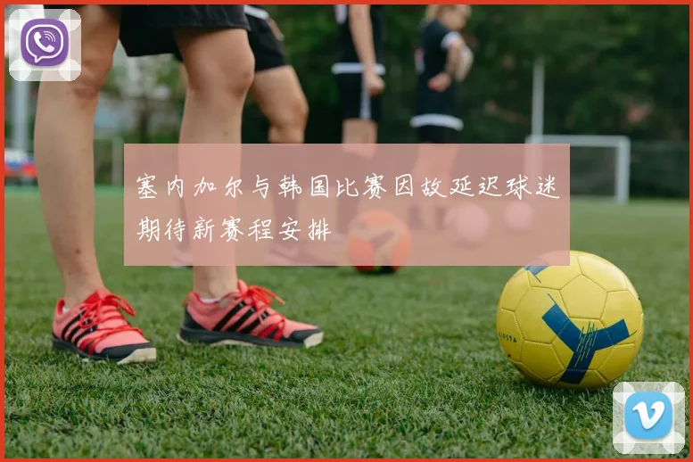 塞内加尔与韩国比赛因故延迟球迷期待新赛程安排