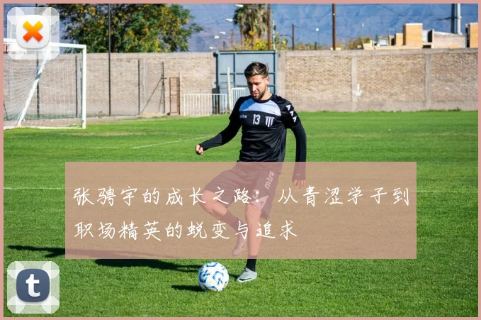 张骋宇的成长之路：从青涩学子到职场精英的蜕变与追求