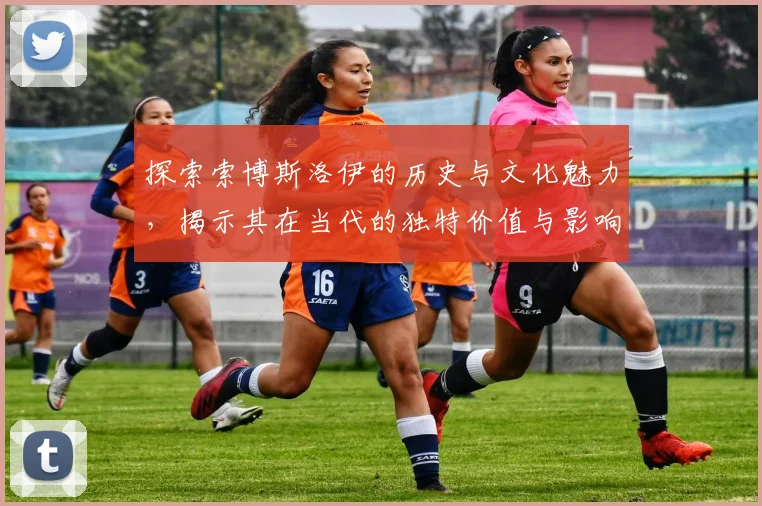 探索索博斯洛伊的历史与文化魅力，揭示其在当代的独特价值与影响力